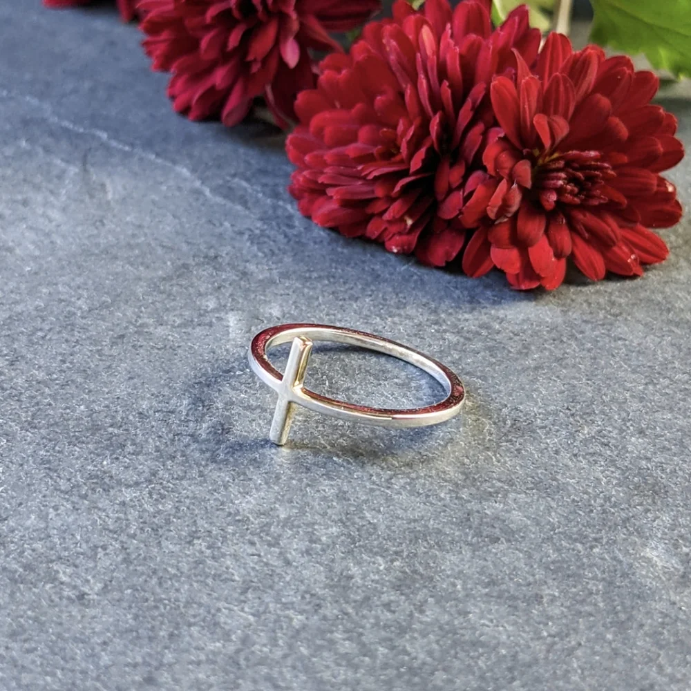 NWT Honeycat Jewelry Silver T-Bar Ring
